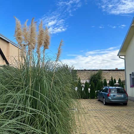 Nest Zen Garden Apartamento Novi Sad Exterior foto